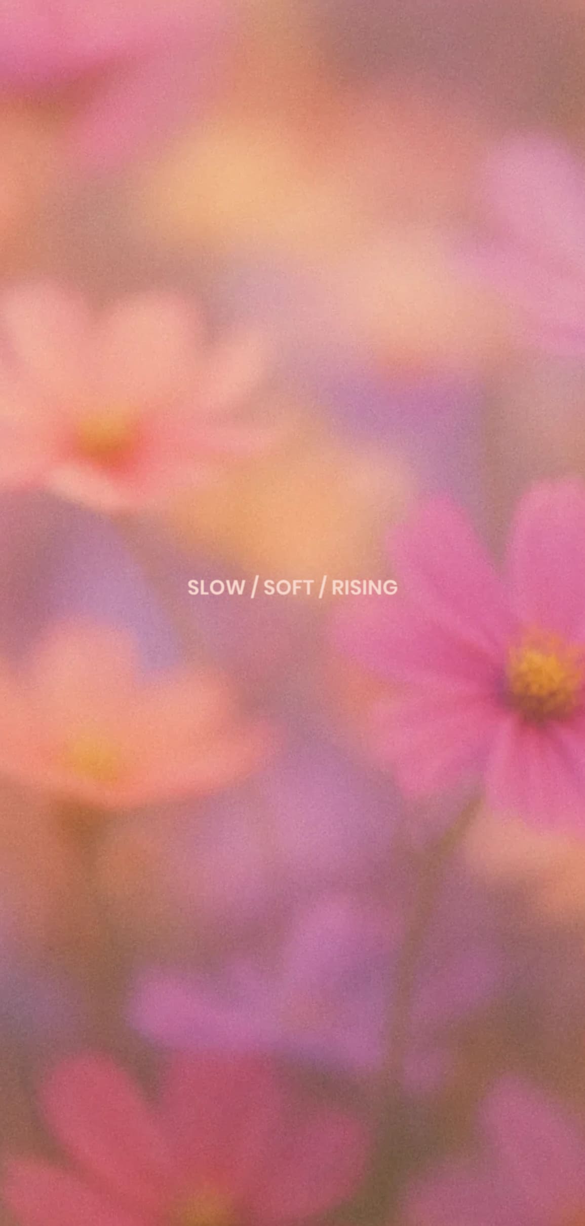 A softly blurred image of pink cosmos flowers with the text “SLOW / SOFT / RISING” across the center.