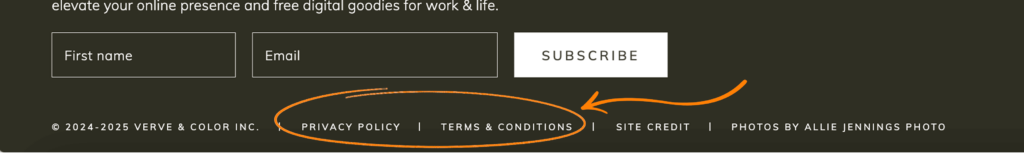 VERVE & COLOR website footer showing links to Privacy Policy and Terms & Conditions.