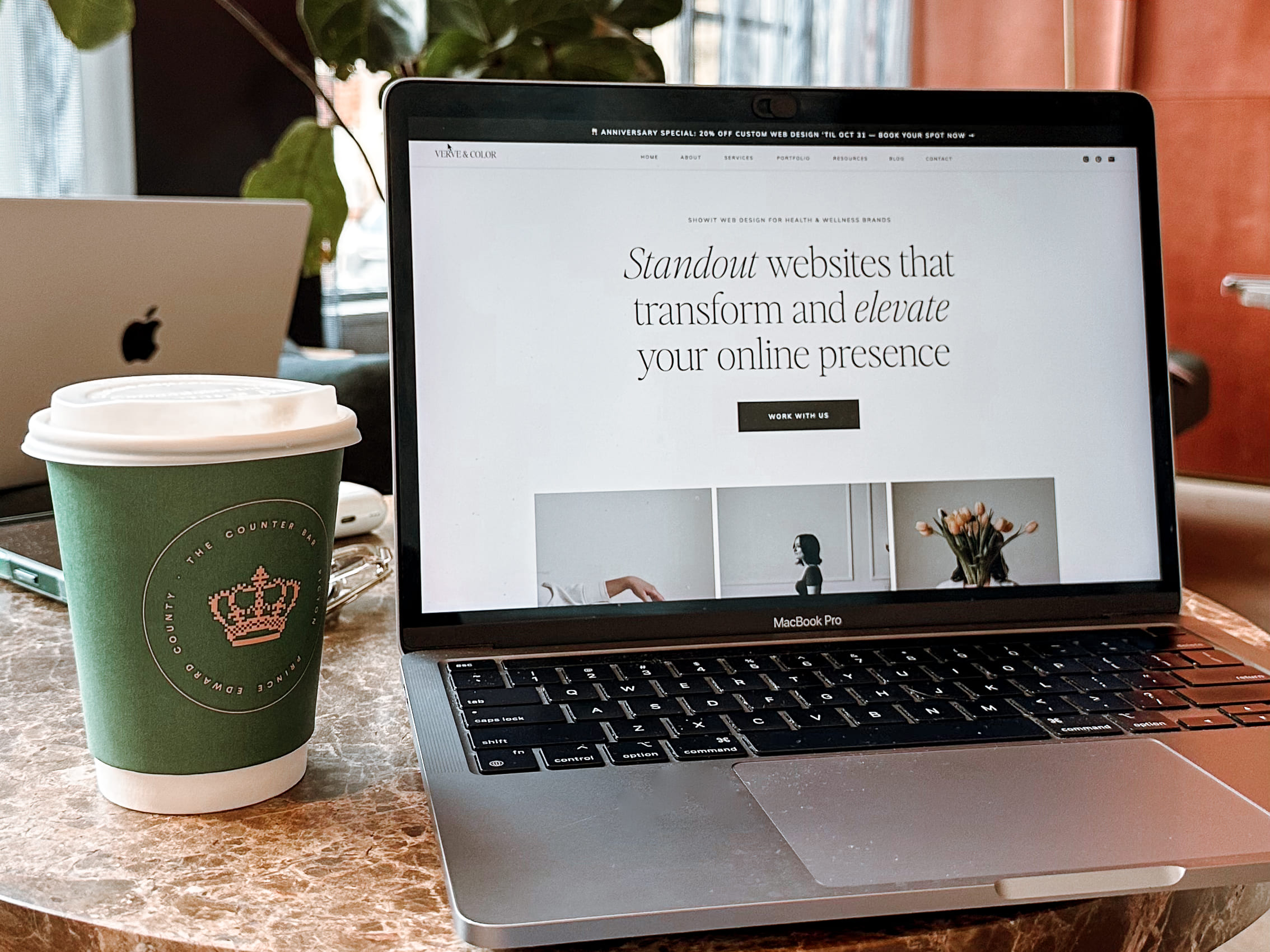 VERVE & COLOR website homepage showcasing wellness web design for health and wellness professionals