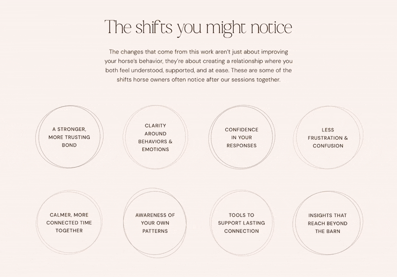 Animated rotating circles on Peace Horse Collective's website