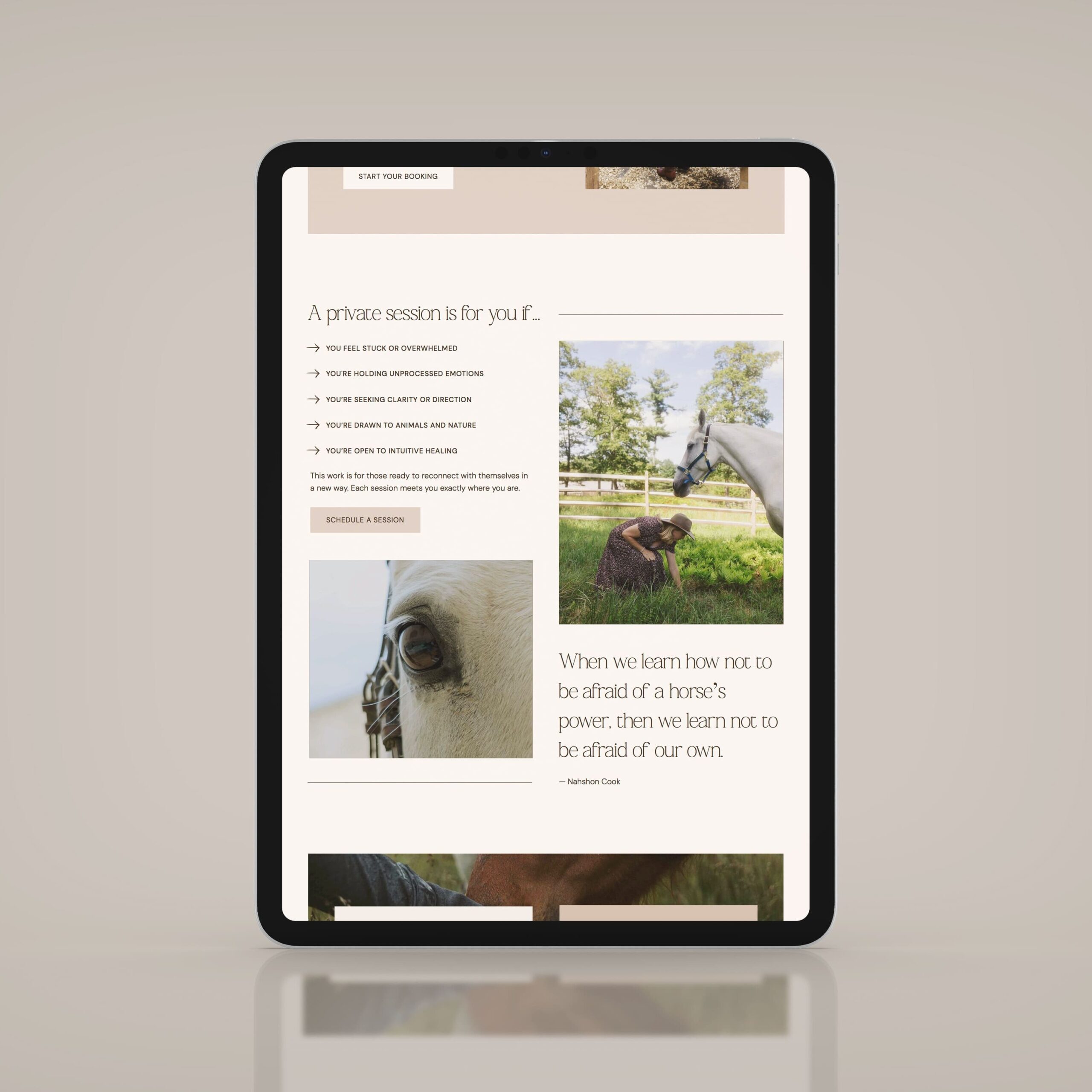 Showit website design by VERVE & COLOR for Peace Horse Collective, a wellness business offering equine-assisted therapy.